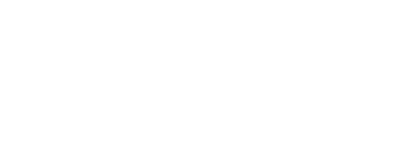 Logo Louis Apartament