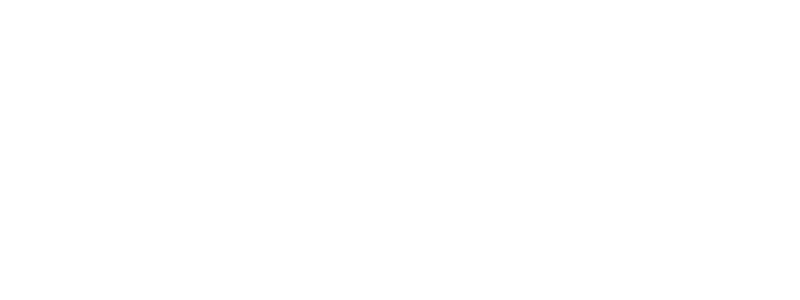 Logo No Profit Web